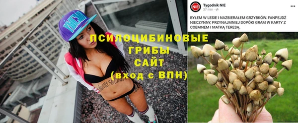 ALPHA PVP Строитель