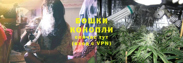 СК Ступино