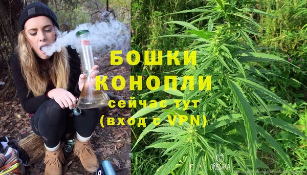 ALPHA PVP Строитель