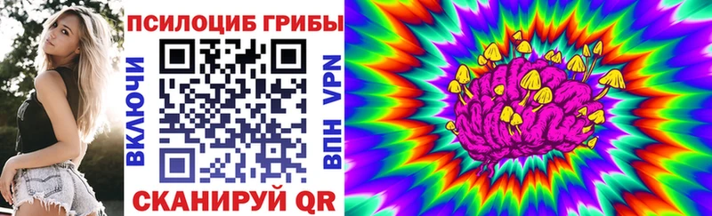 Галлюциногенные грибы Psilocybe  Купить  Сычёвка 