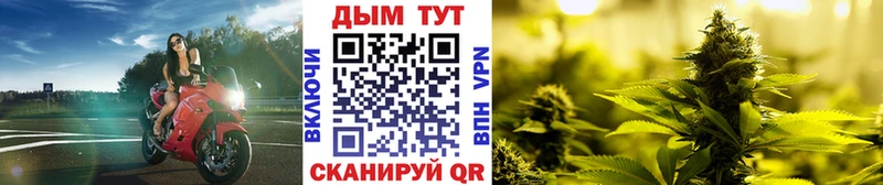 Купить  Сычёвка  Бошки марихуана семена 